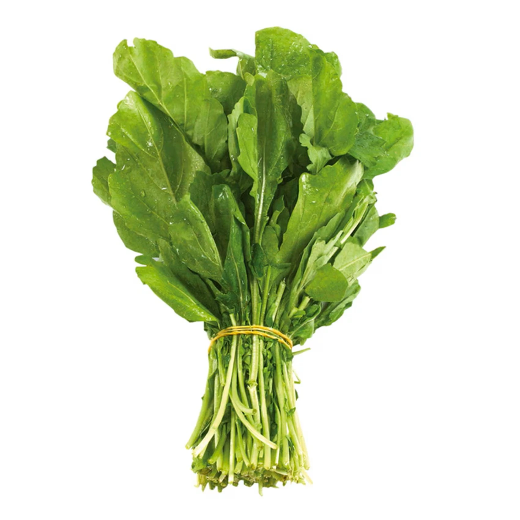 جرجير 3 رابطة